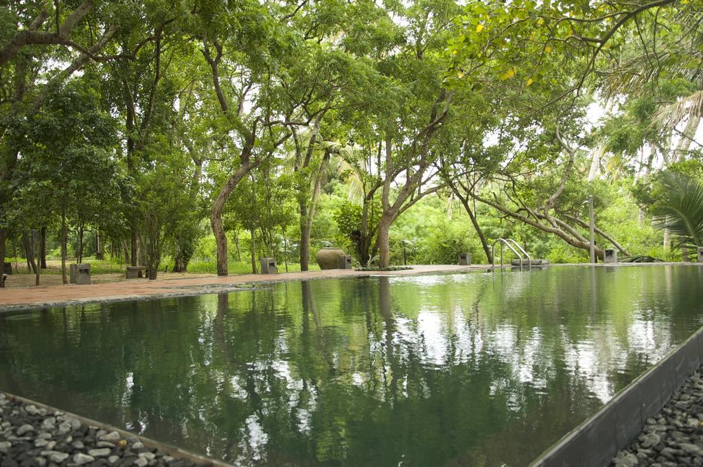 Lagoon House Rekawa Tangalle Exterior photo