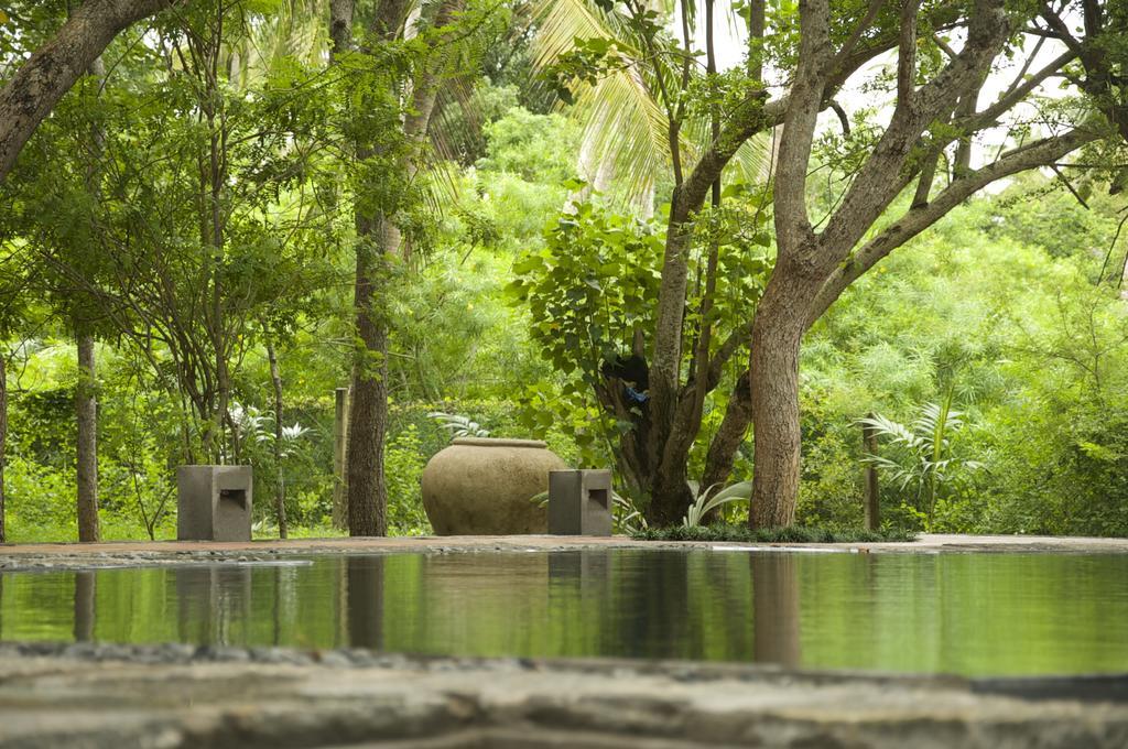 Lagoon House Rekawa Tangalle Exterior photo